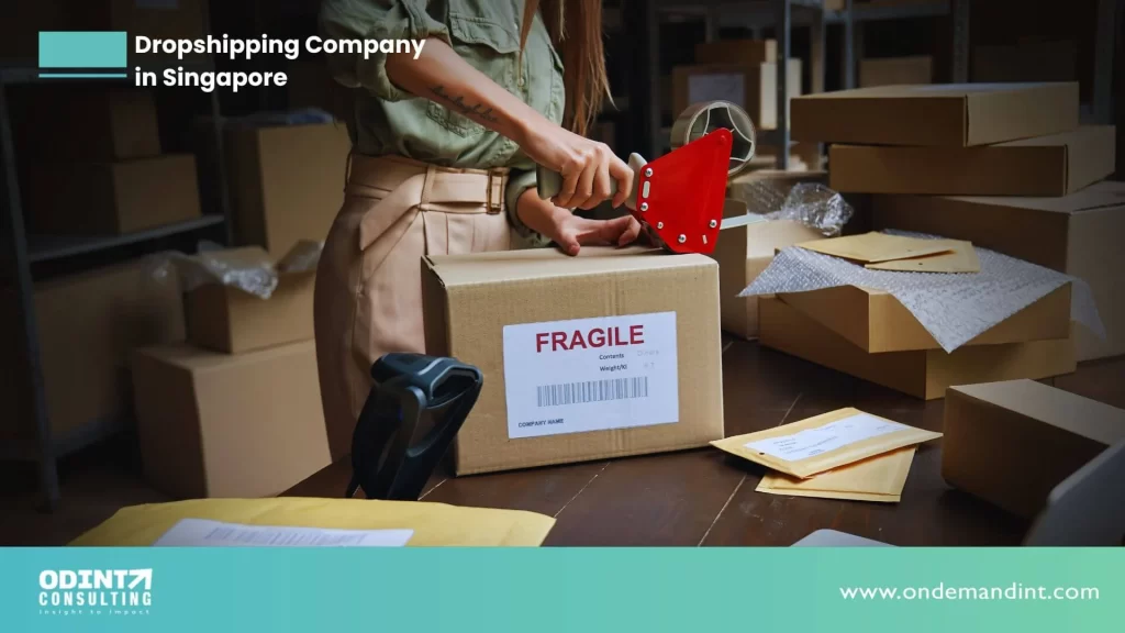 dropshipping company in singapore