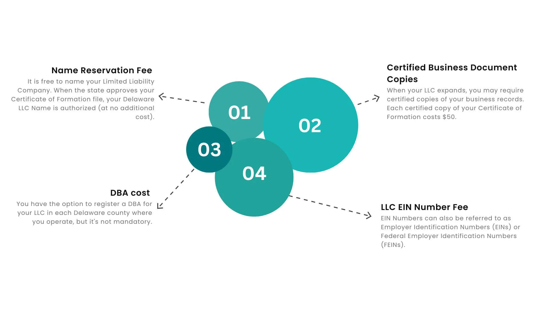 Other delaware LLC fees