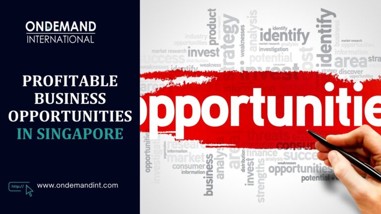 profitable business opportunities in singapore