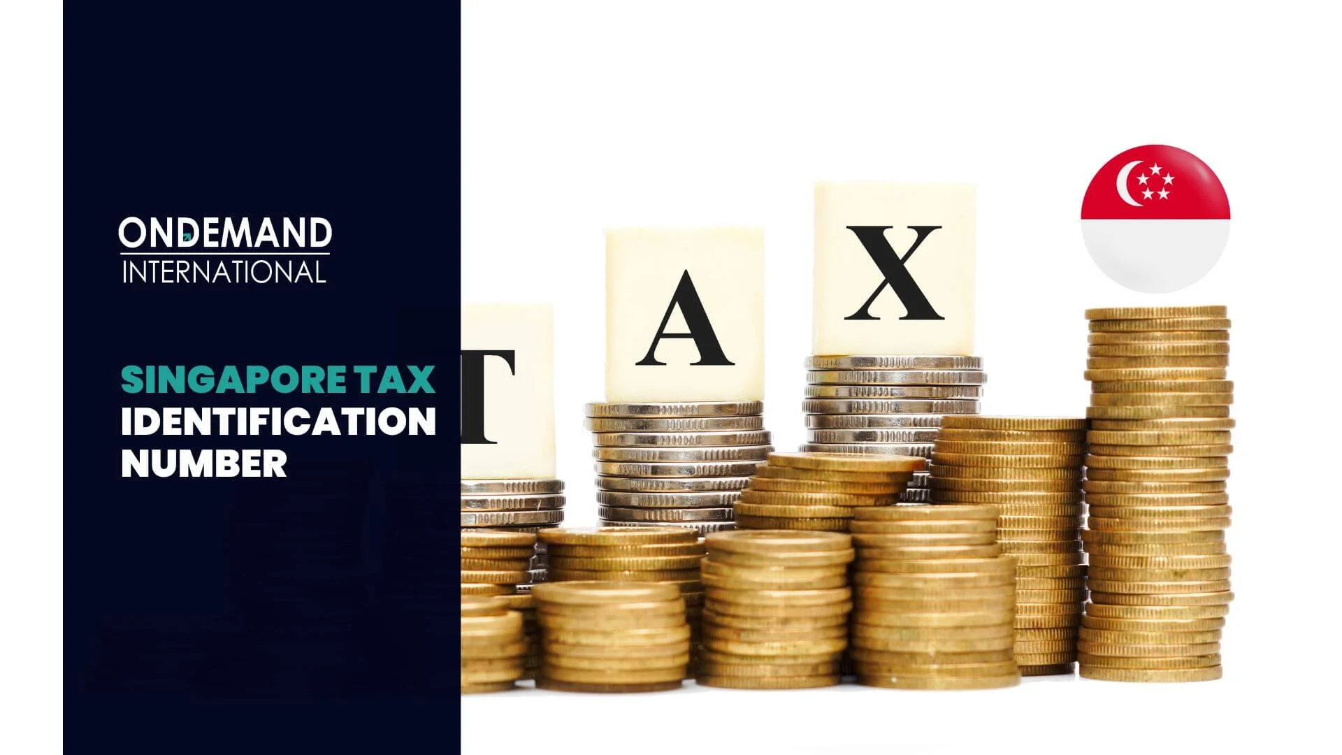 Singapore Tax Identification Number Meaning & Process Explained