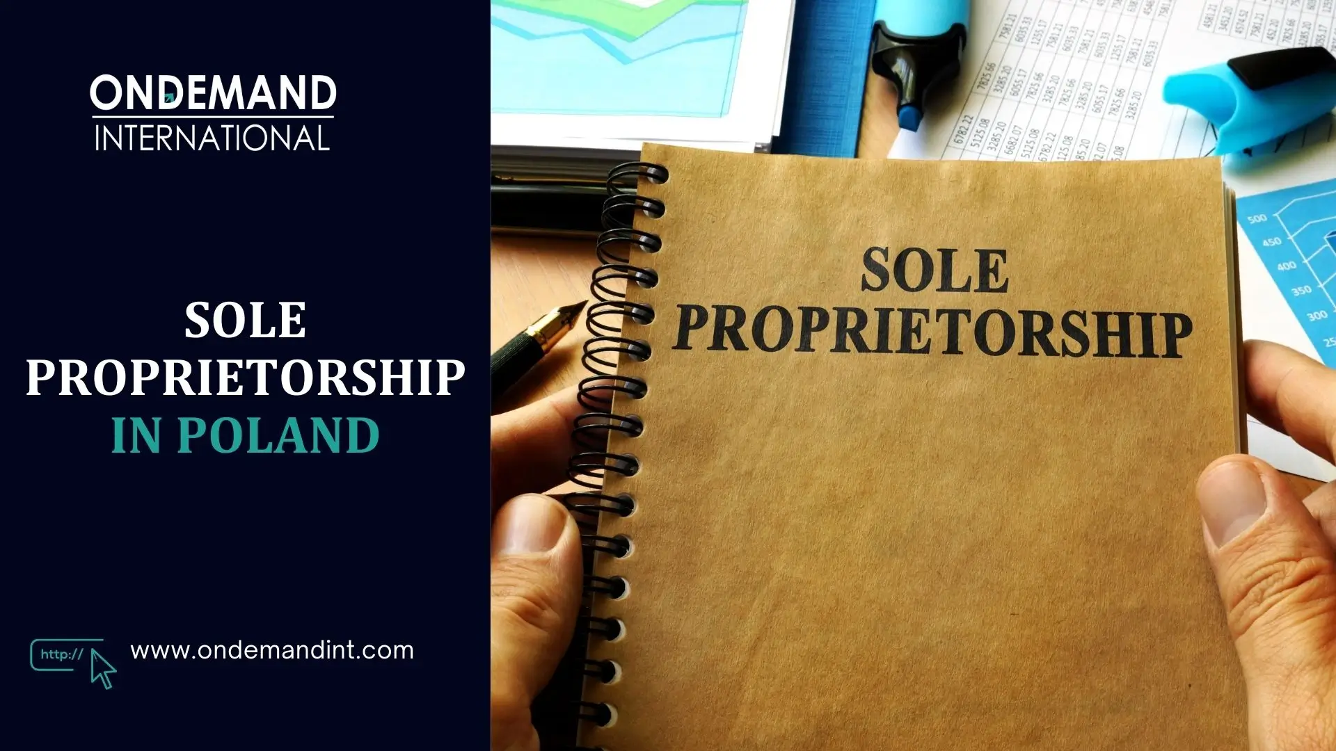 sole proprietorship in poland