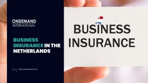business insurance in the netherlands