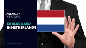 eu blue card in the netherlands