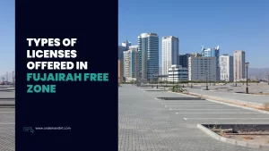 types of licenses in the fujairah free zone