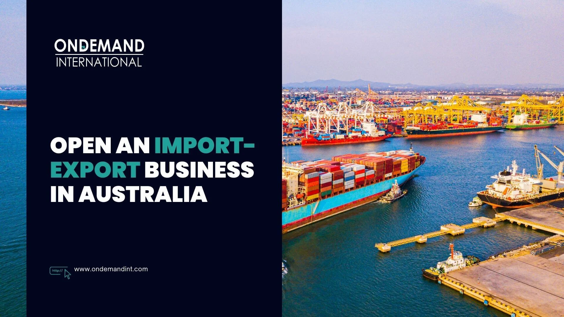 opening an import-export business in australia