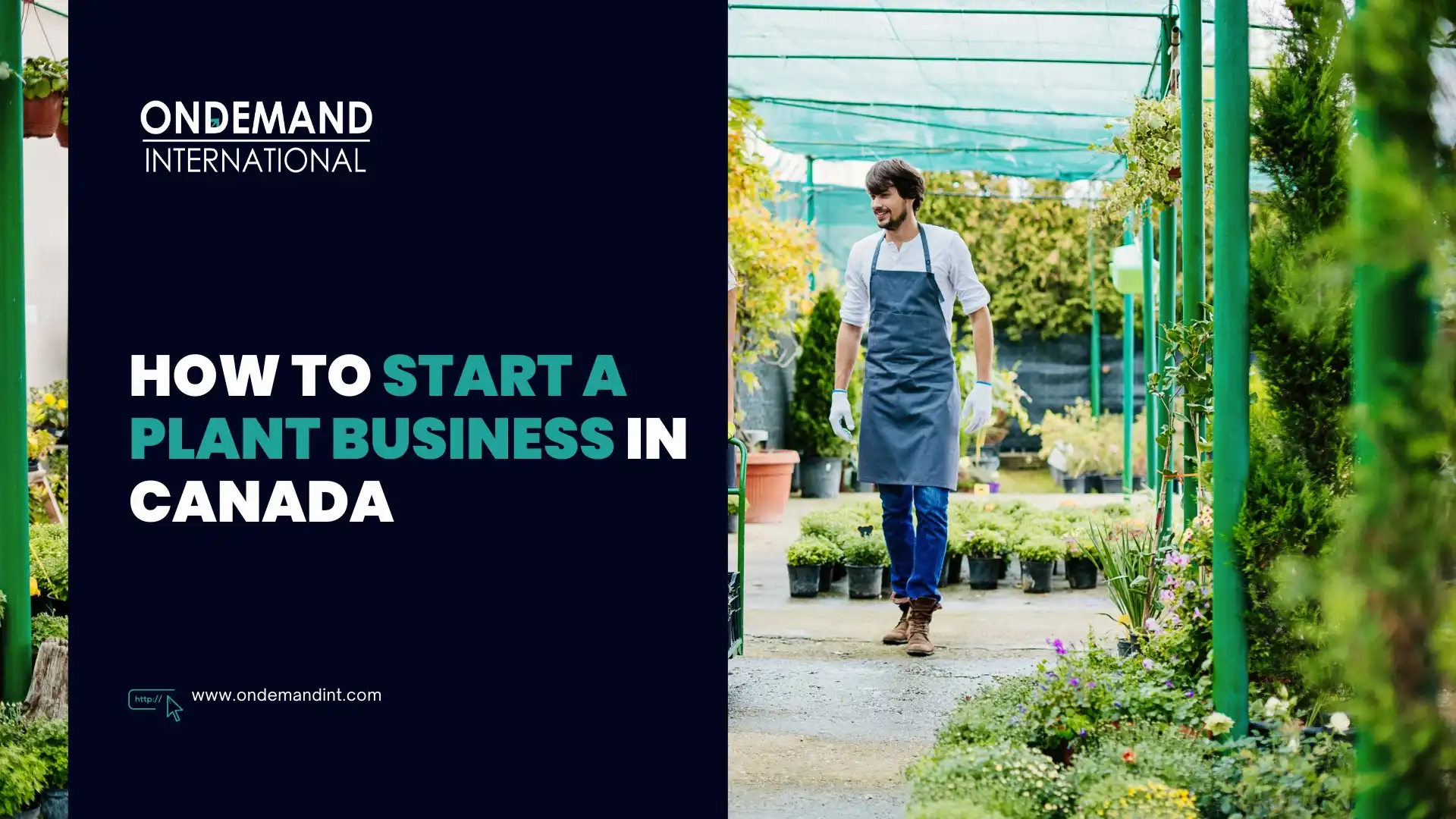 How to Start a Plant Business in Canada