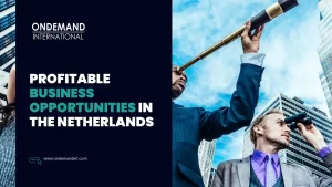 Profitable Business Opportunities in the Netherlands