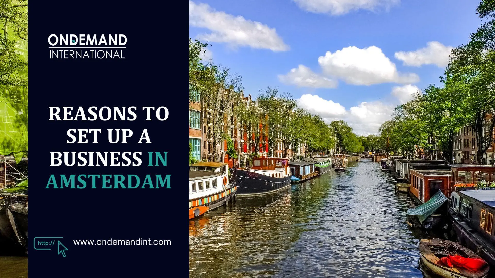 reasons to set up a business in amsterdam