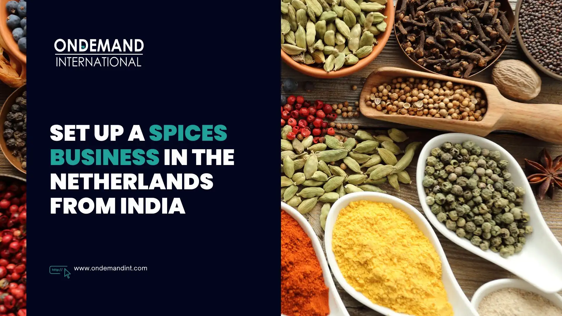 Set up a Spices Business in the Netherlands