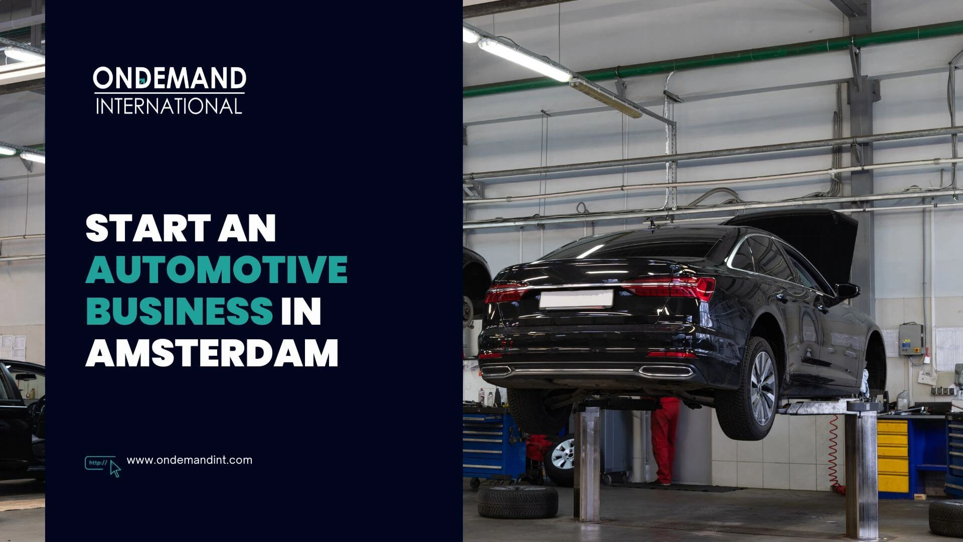 start an automotive business in amsterdam