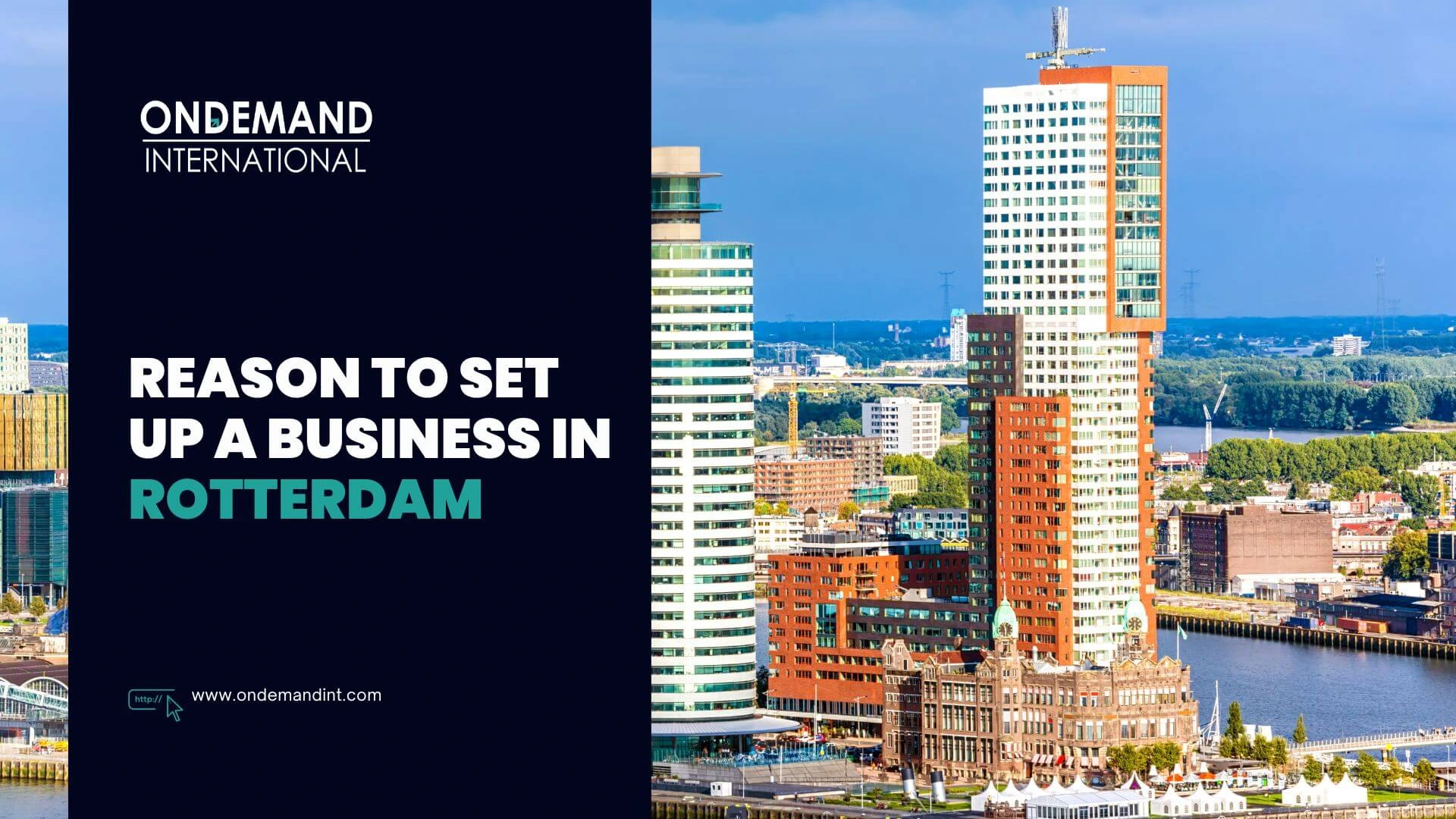reasons to set up a business in rotterdam