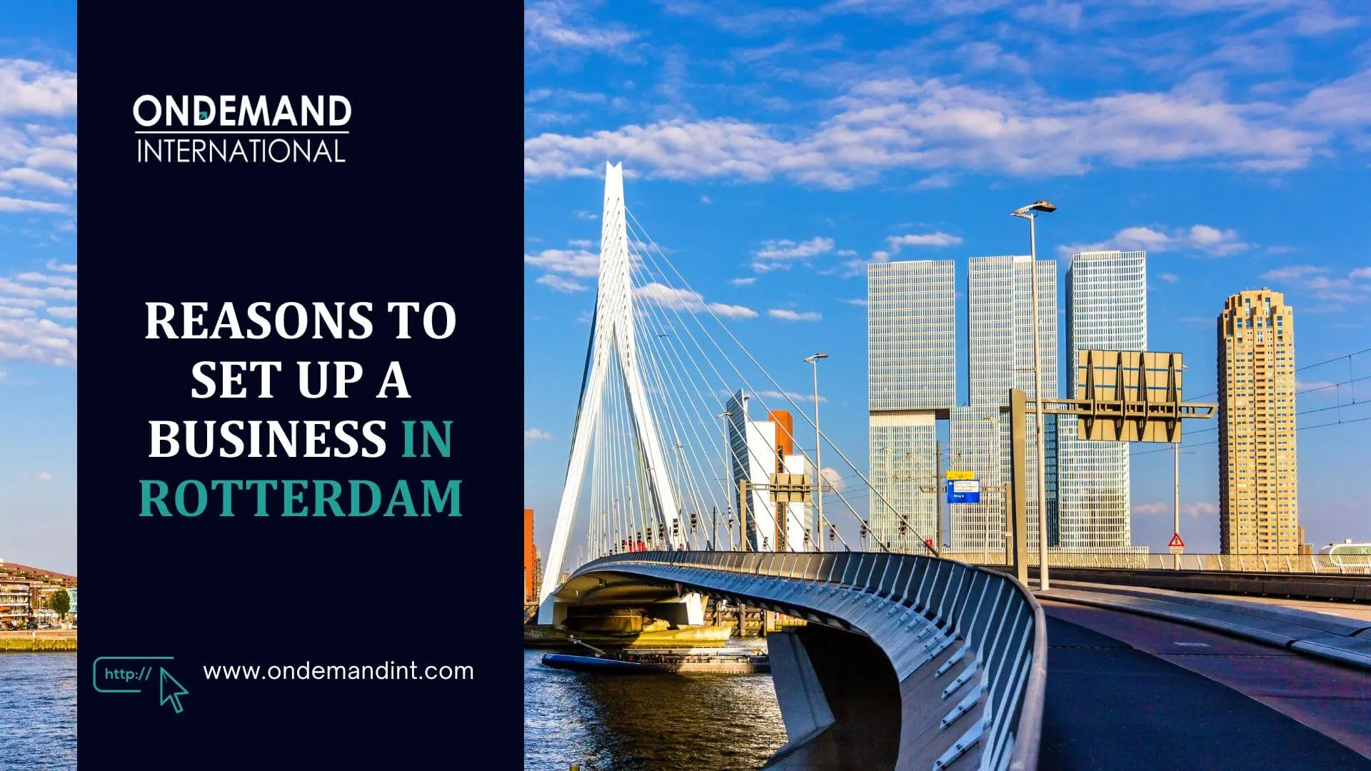 5 Reasons to Set Up a Business in Rotterdam 2 reasons to set up a business in rotterdam