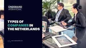 types of companies in the netherlands