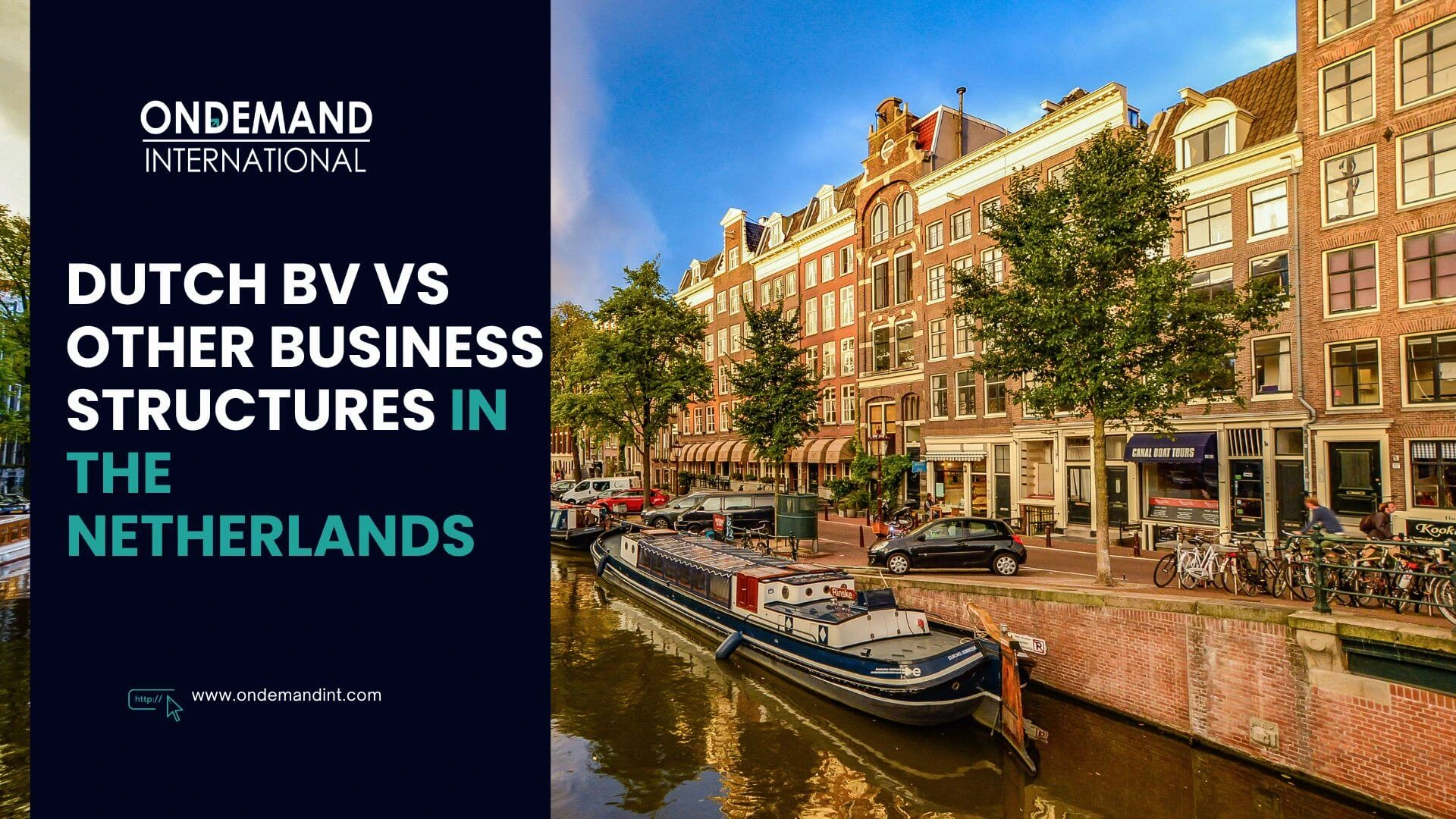 dutch bv vs other business structures in the netherlands