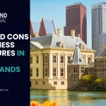 What are the Pros and Cons of Business Structures in the Netherlands?