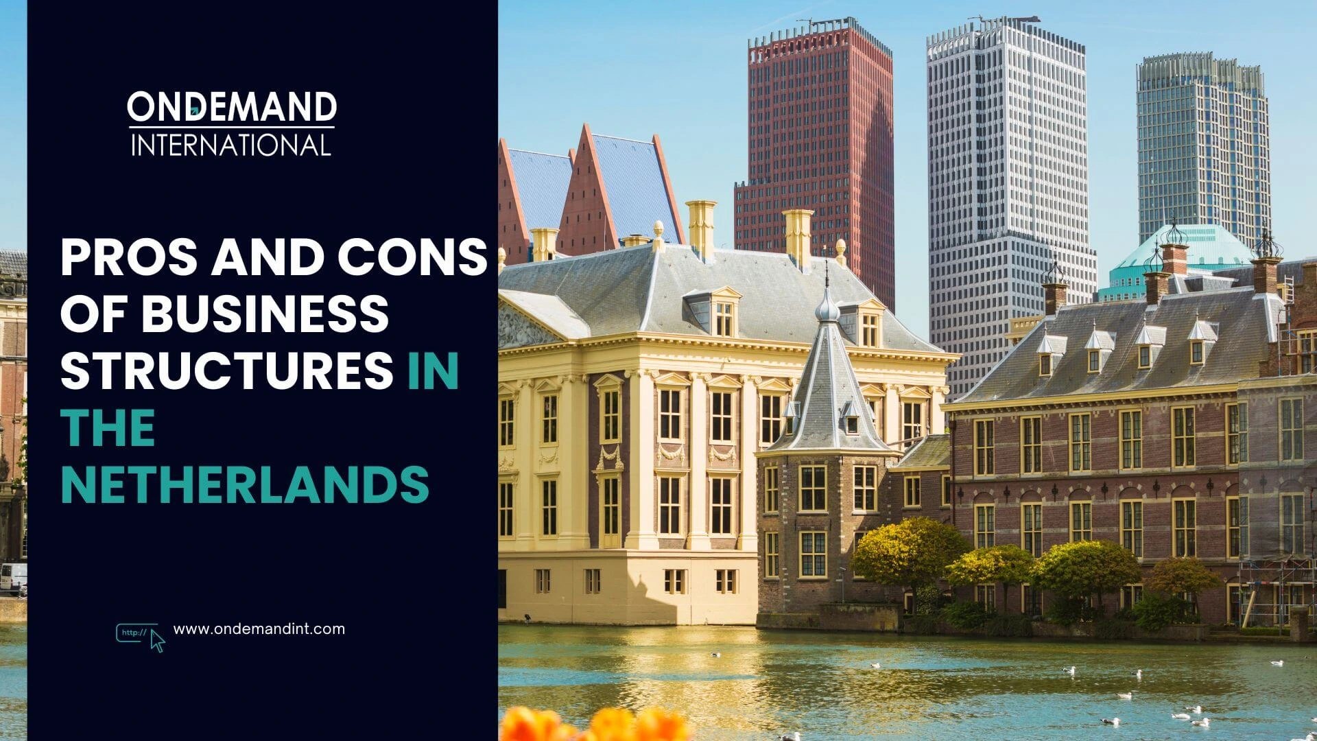 pros and cons of business structures in the netherlands