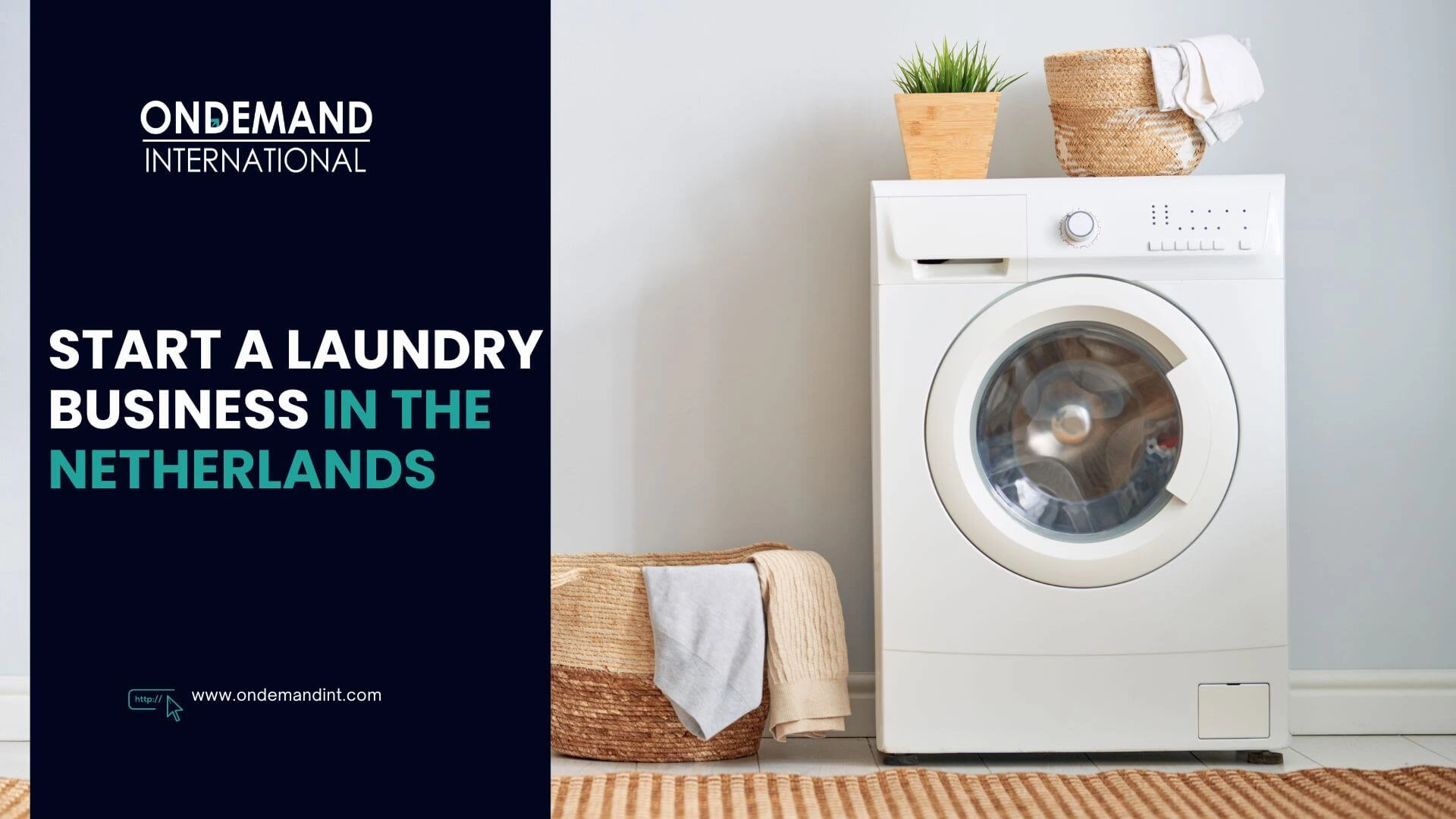 start a laundry business in the netherlands