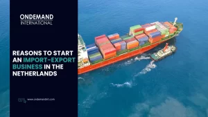 reasons to start an import-export business in the netherlands