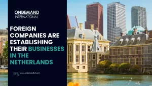 reasons why foreign companies are establishing their businesses in the netherlands