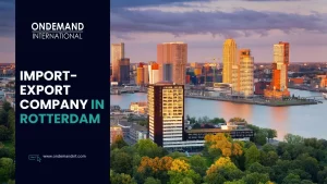 start an import-export company in rotterdam