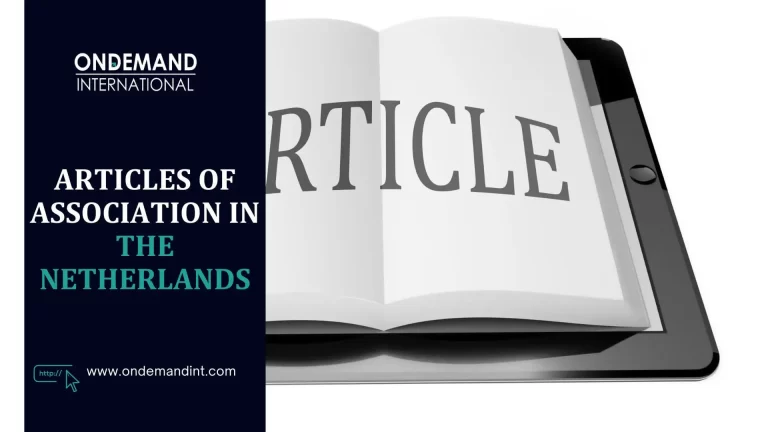 articles of association in the netherlands