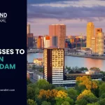 8 Best Businesses To Start In Rotterdam