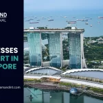 9 Best Businesses To Start In Singapore