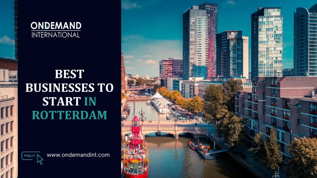 best businesses to start in rotterdam