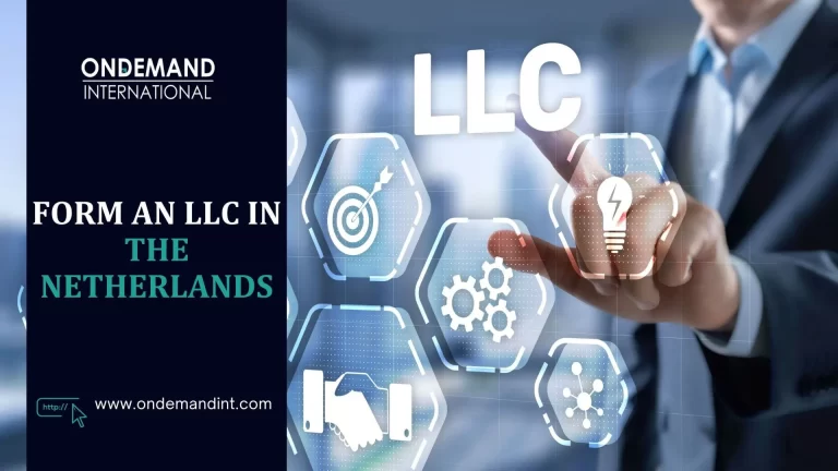 form an llc in the netherlands