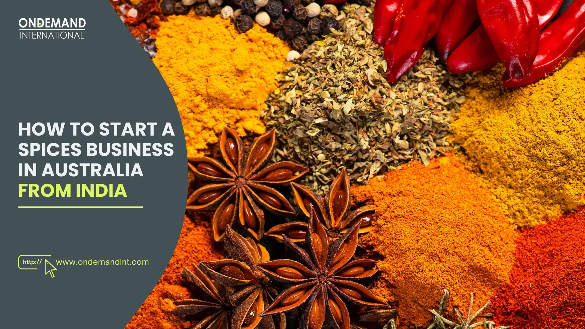 start spices business in australia from india