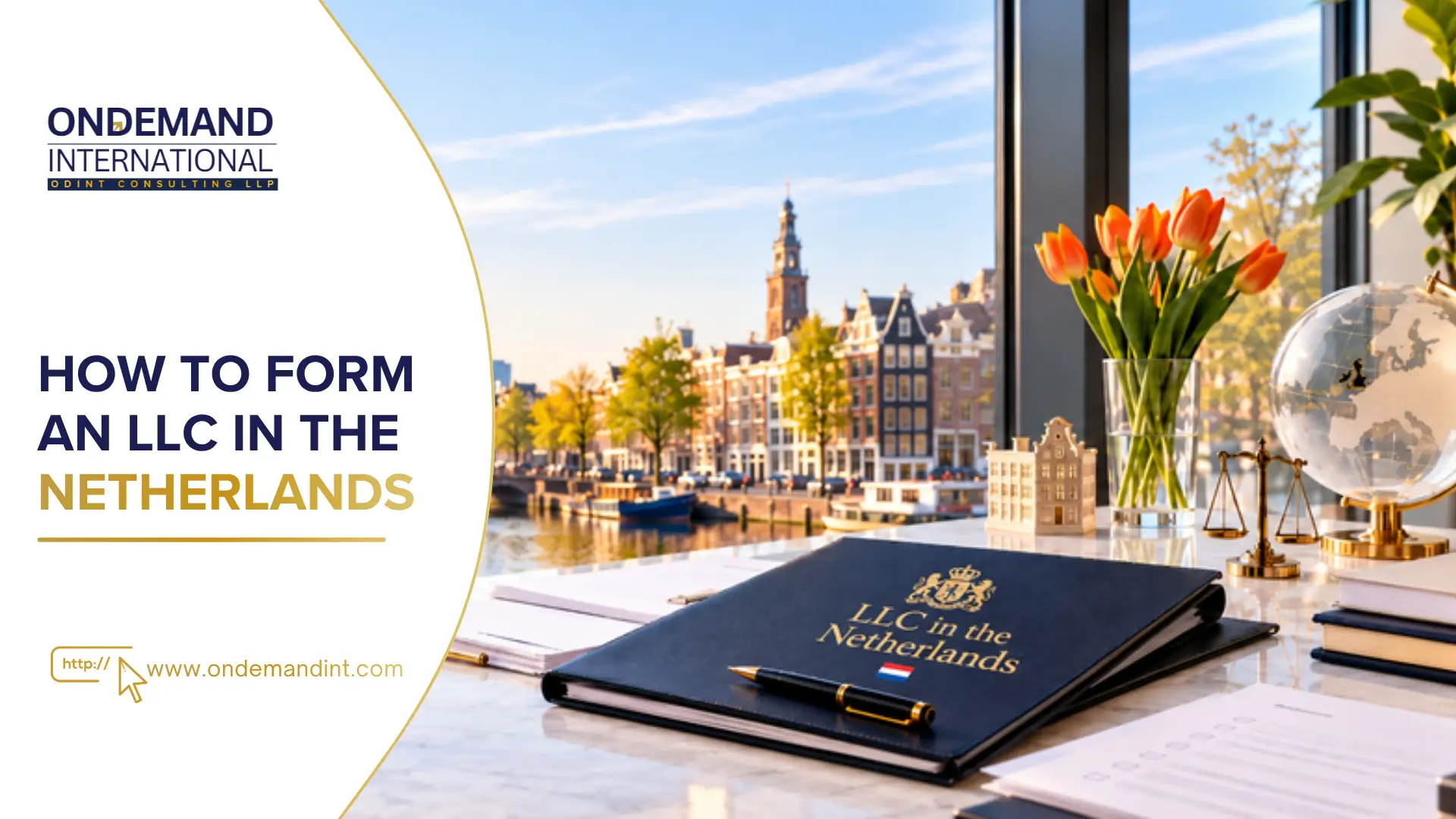 how to form an llc in the netherlands