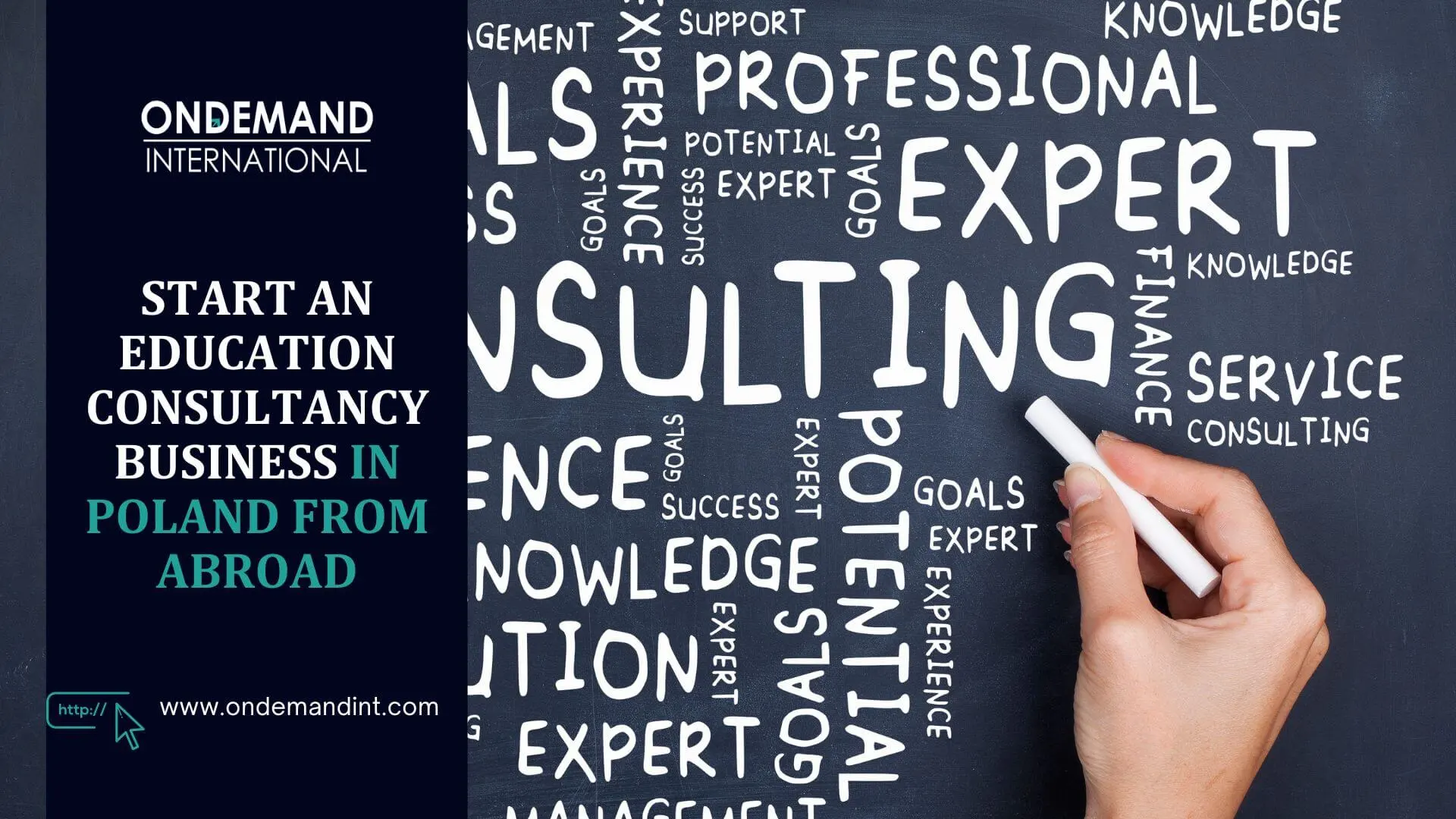 start an education consultancy business in poland