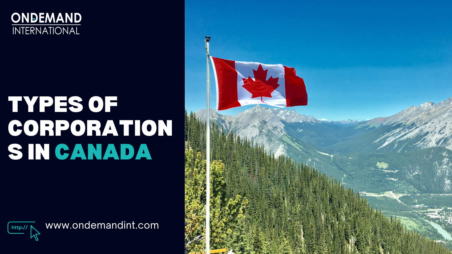 types of corporations in canada