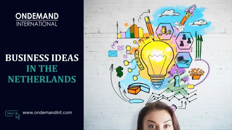 business ideas in the netherlands