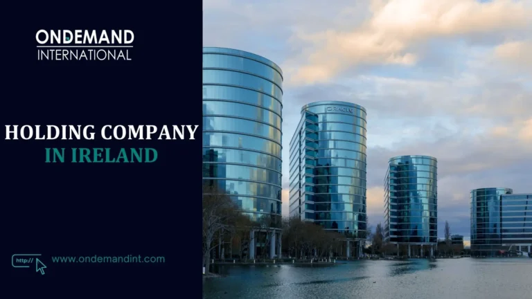 holding company in ireland