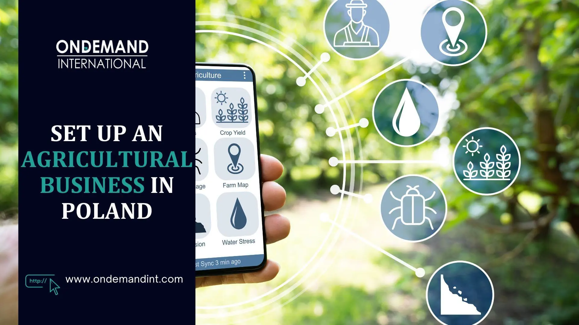 set up an agricultural business in poland