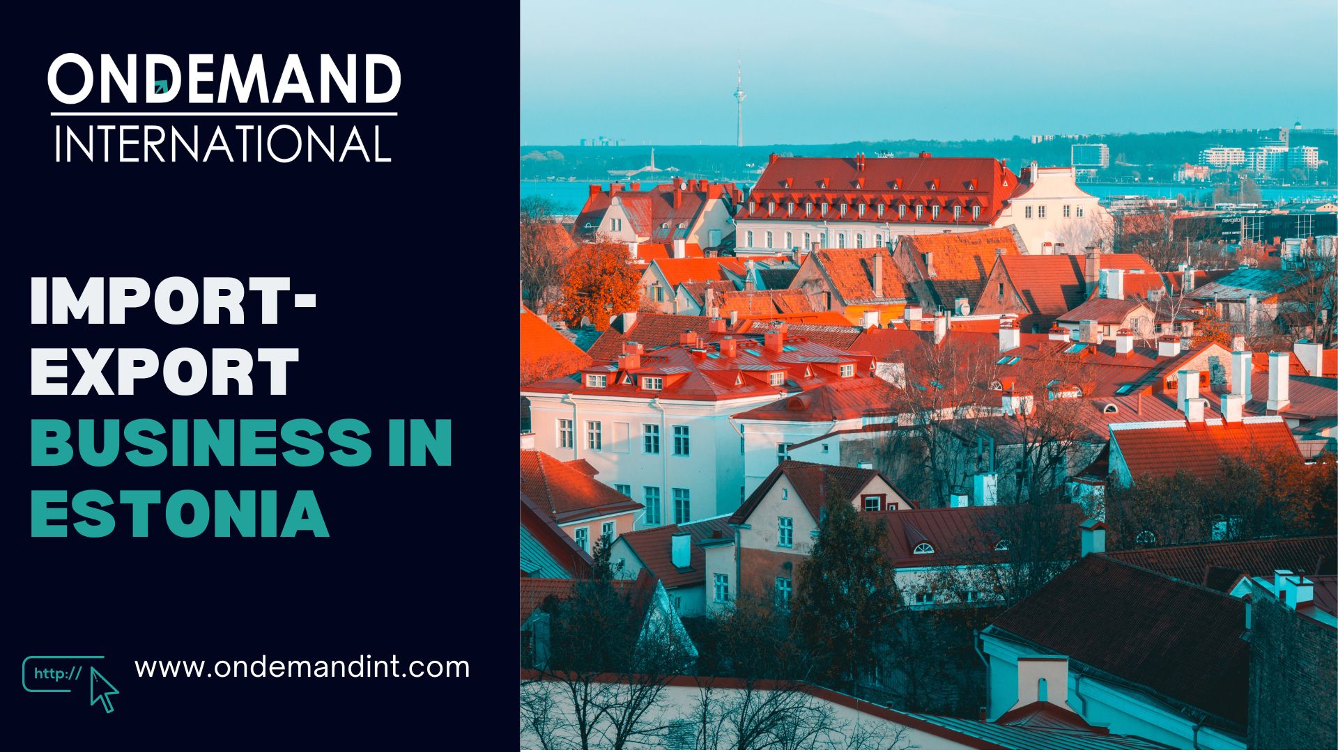 How to Start an Import-Export Business in Estonia in 2024-25 1 import-export business in estonia