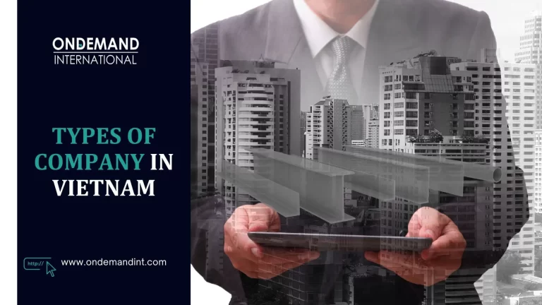 types of company in vietnam