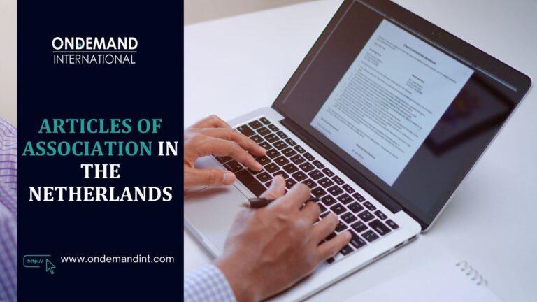 articles of association in the netherlands