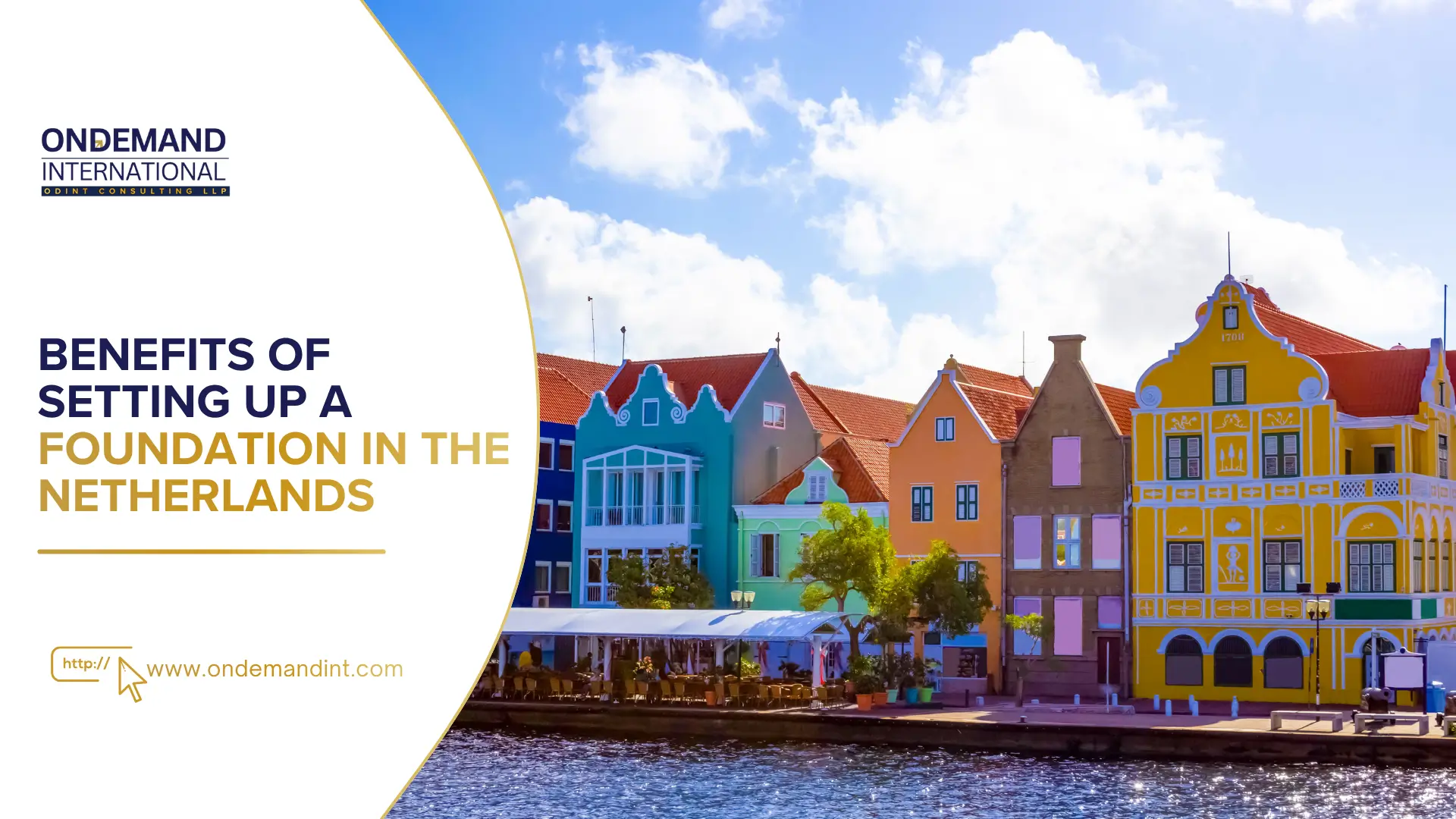 benefits of setting up a foundation in the netherlands