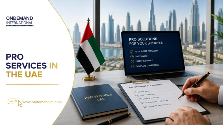 pro services in the uae