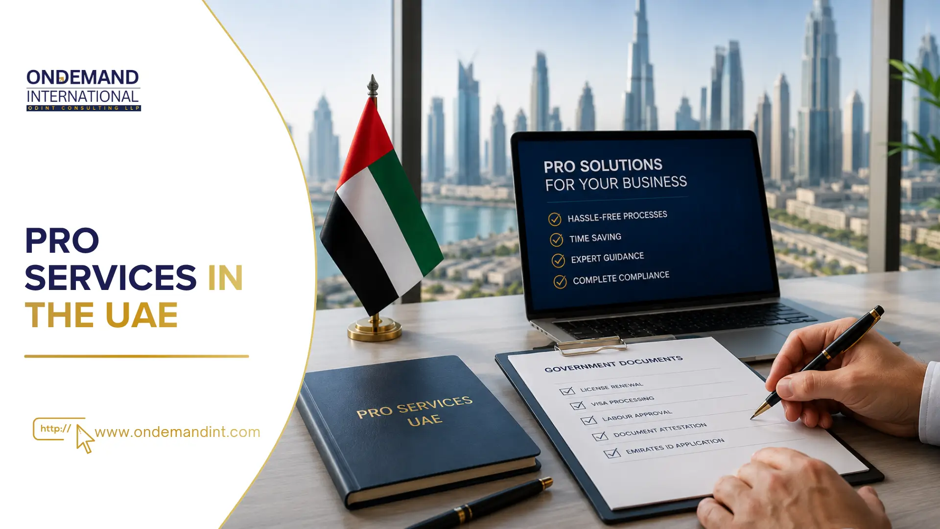 pro services in the uae