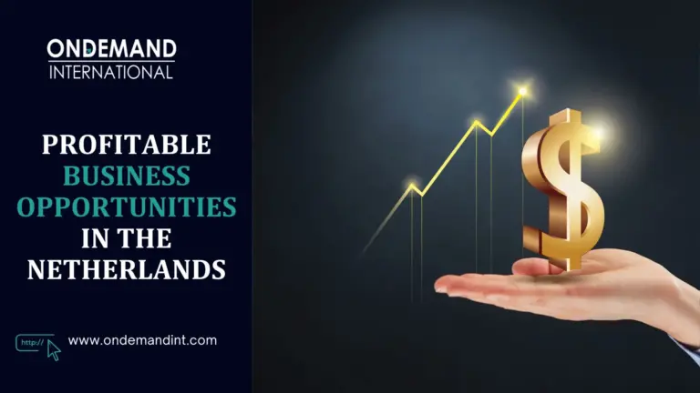 profitable business opportunities in the netherlands