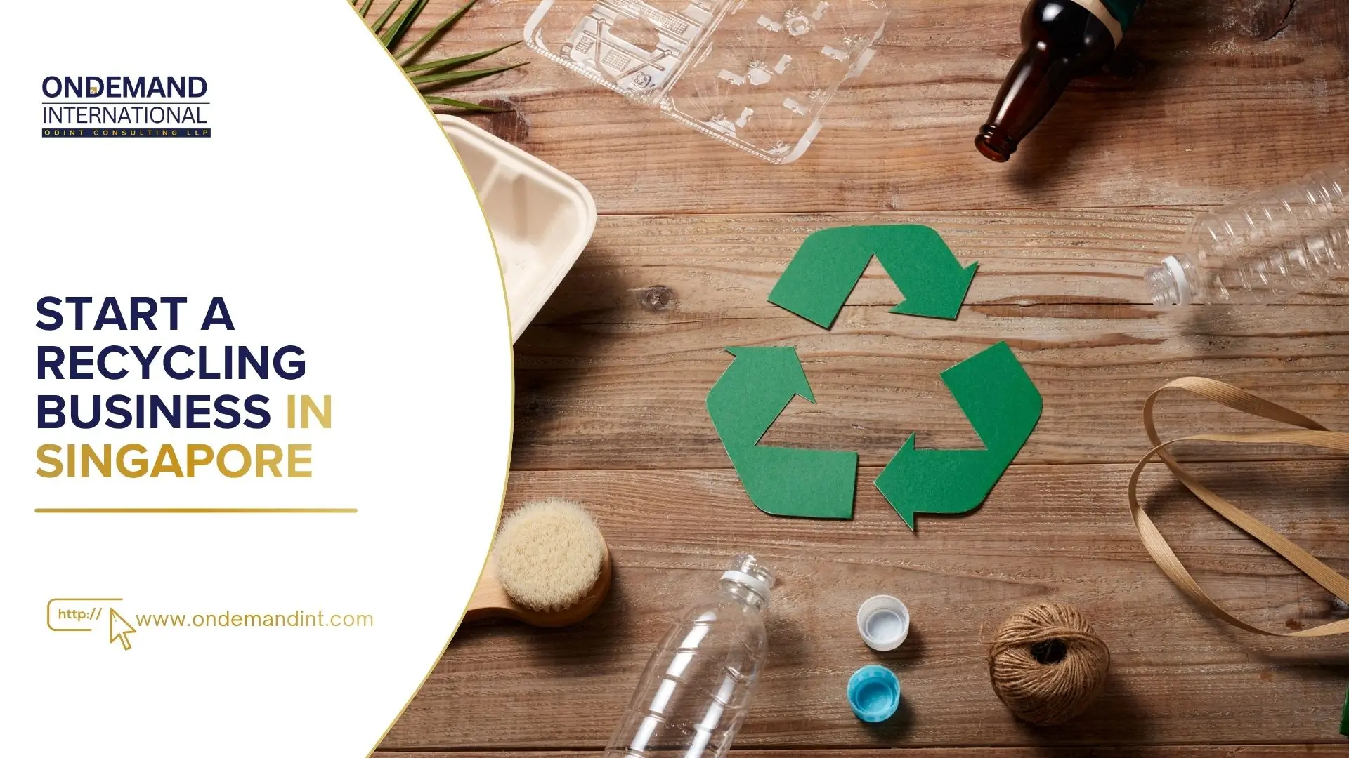 start a recycling business in singapore