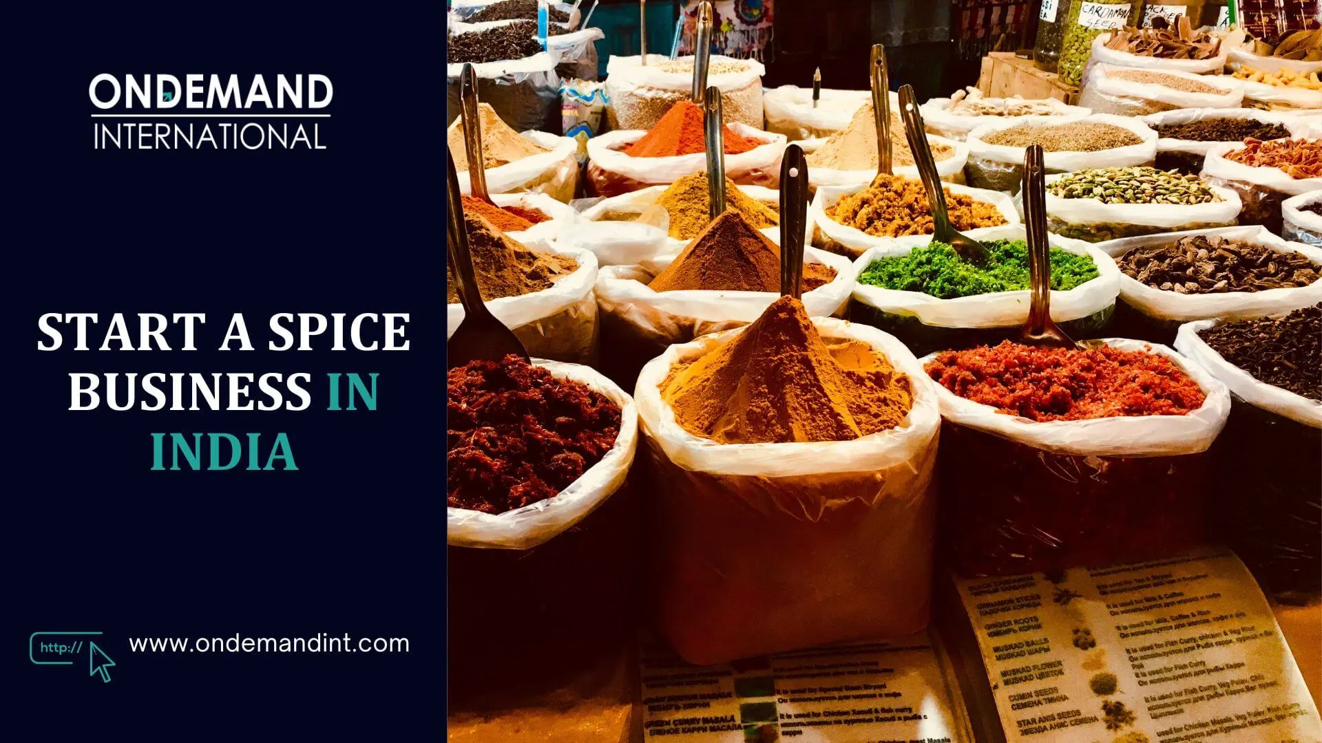 start a spice business in india