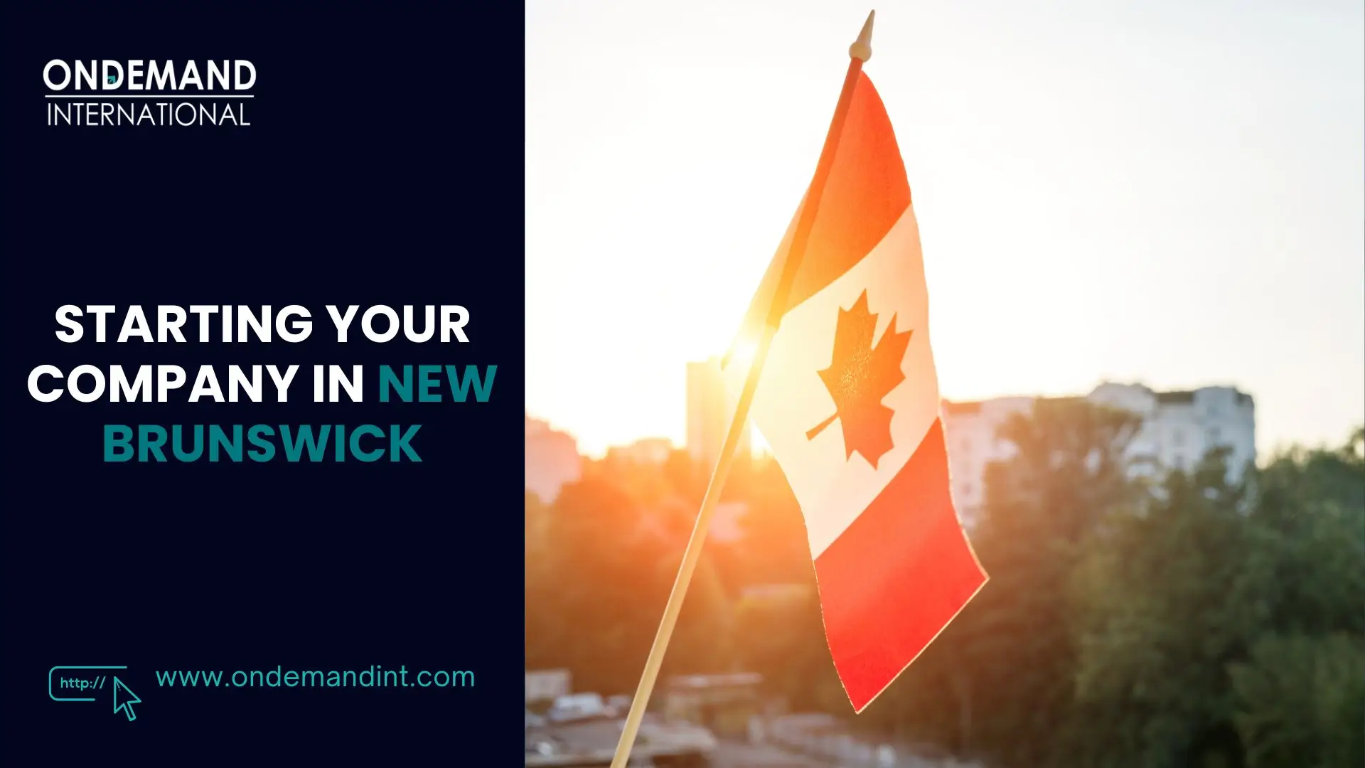 starting your company in new brunswick