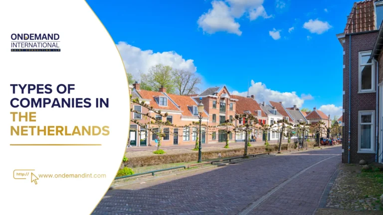 types of companies in the netherlands