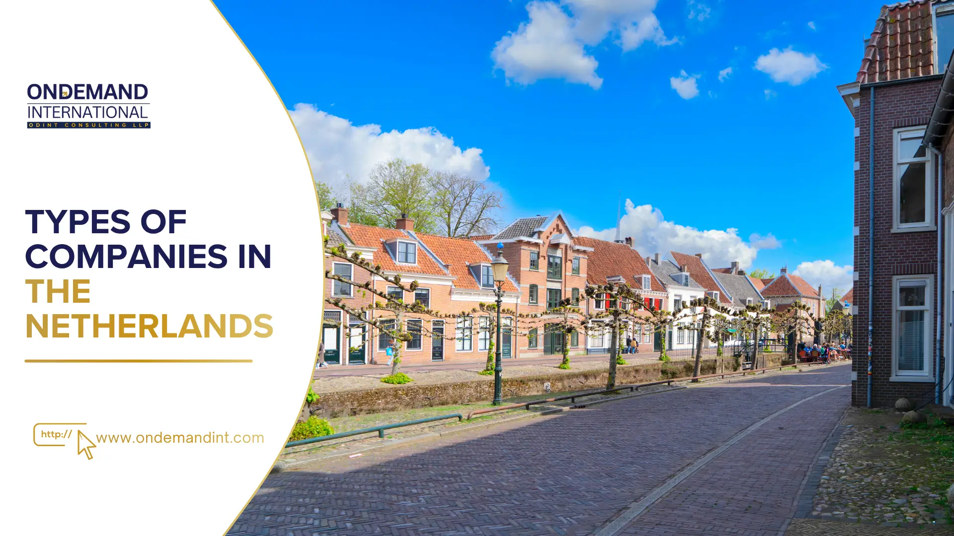 types of companies in the netherlands