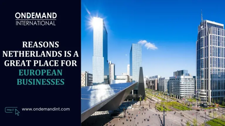 reasons netherlands is a great place for euopean businesses