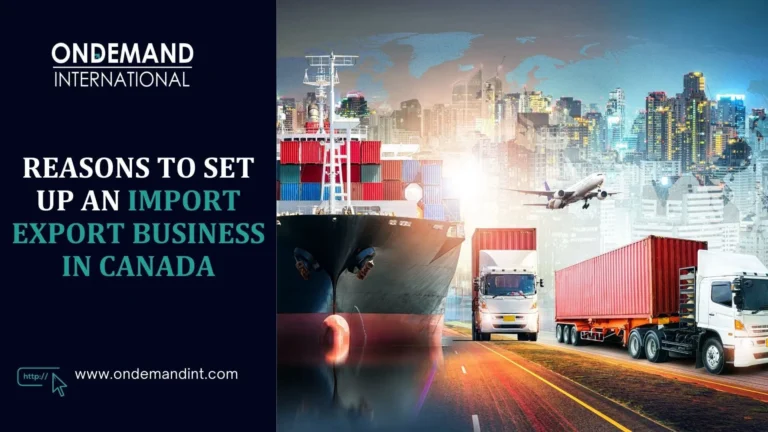 reasons to set up an import export business in canada